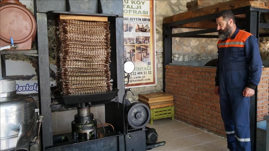 Ayvalık'ta "zeytin sütü" üretildi