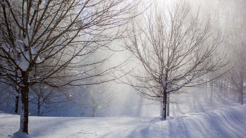 Meteoroloji uyardı: Sisli ve puslu havaya dikkat!