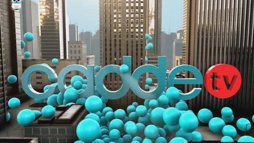 Cadde TV'de istifa dalgası