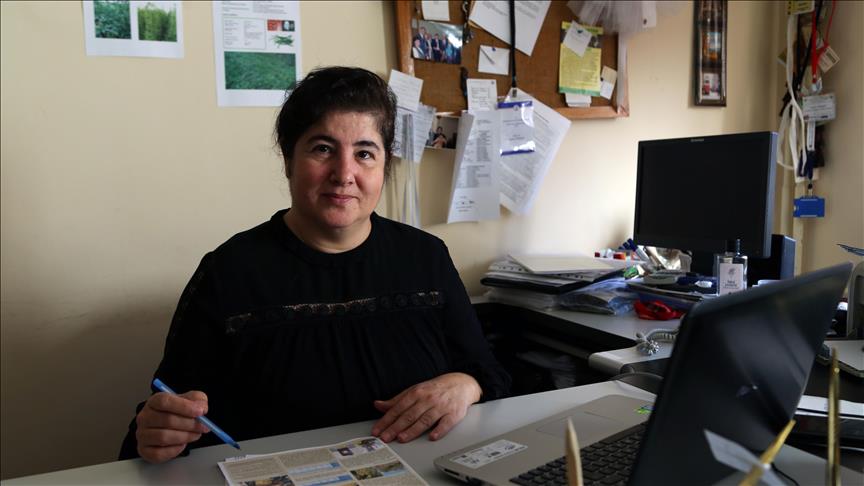 'Kara elmas' fındık bahçelerinde yetişecek