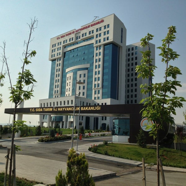 Koyun keçi yetiştiricileri birliği teknik eleman ilanı verdi