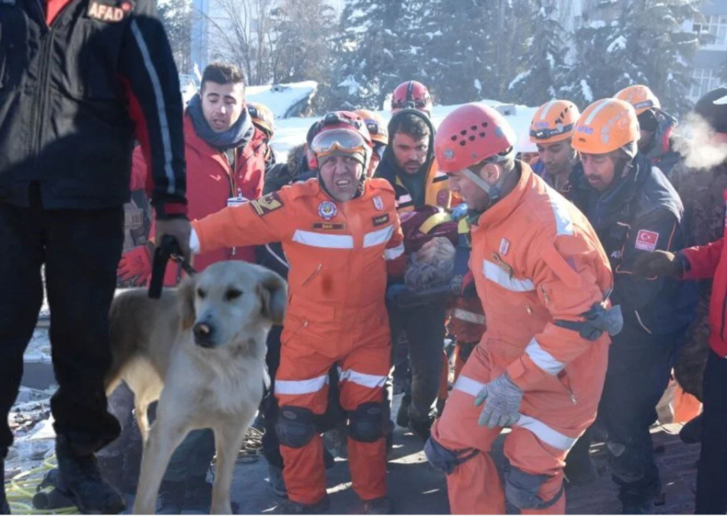 Köpük adlı köpek  deprem bölgesinde 6 kişiyi kurtardı!