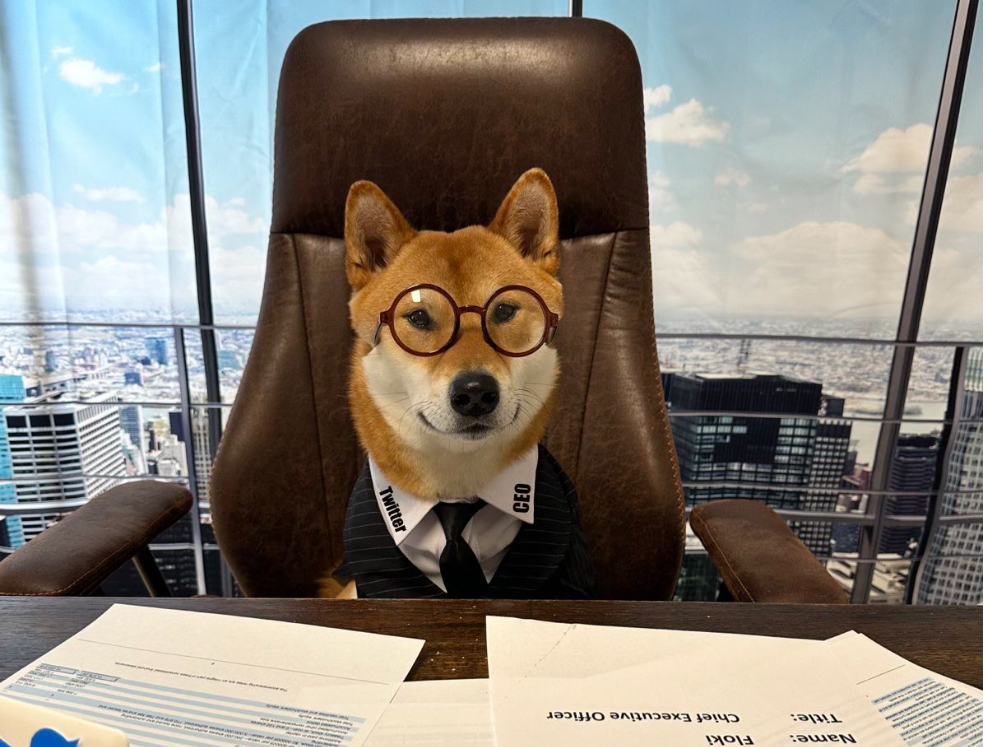 Elon Musk’ın yeni CEOsu, köpeği Floki