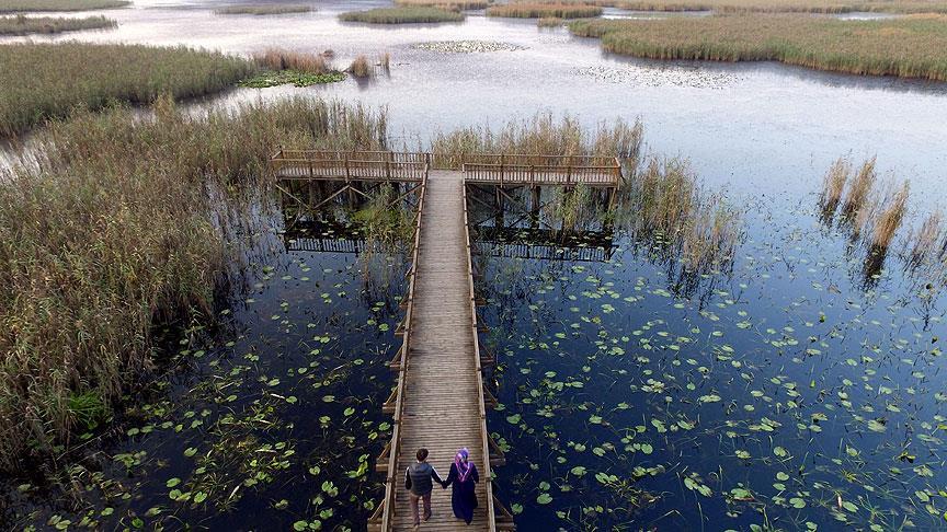 Efteni Kuş Cenneti drone ile görüntülendi