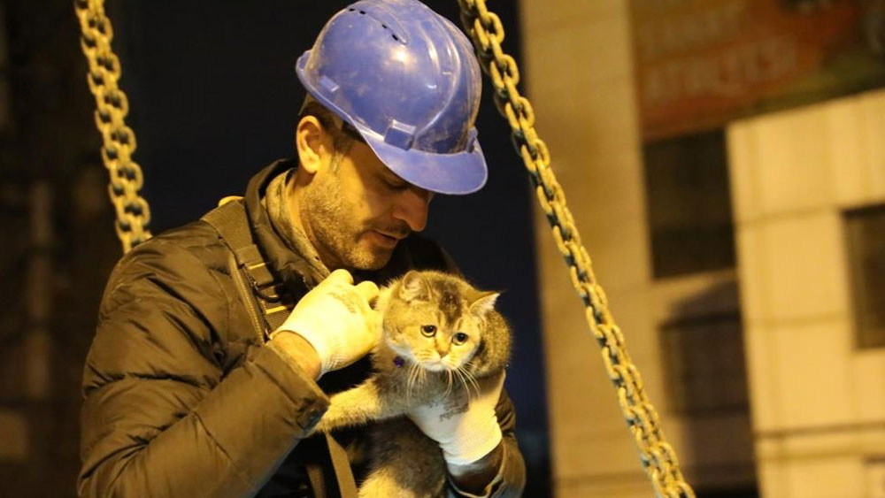 Yıkımı durdurulan Galeria AVM'deki 'Zena' adlı kedi kurtarıldı