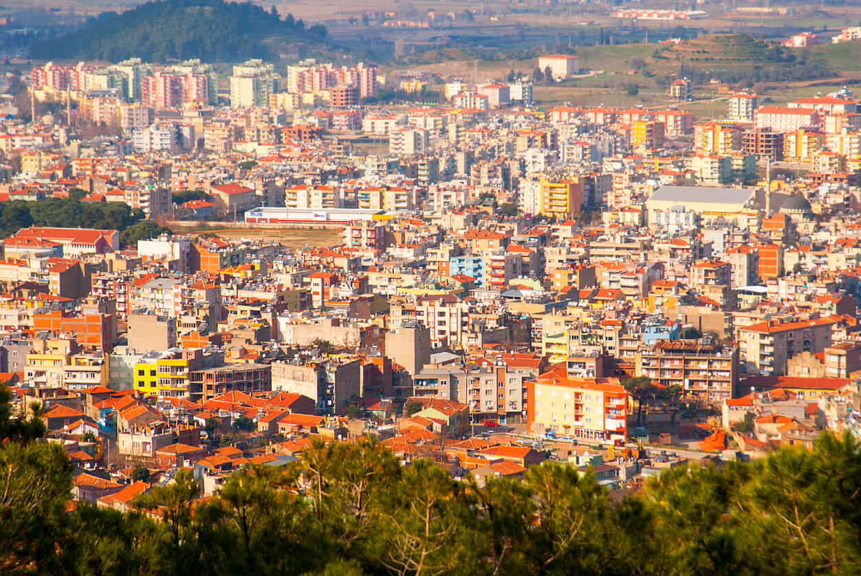 İzmir'de icradan satılık zeytinlik