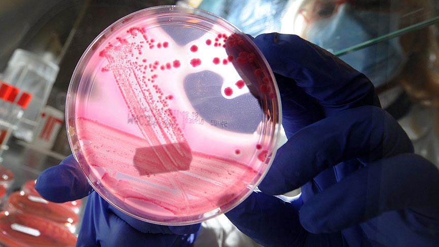 DNA'daki genomlarda değişiklik yapmayı kolaylaştıran enzim keşfedildi