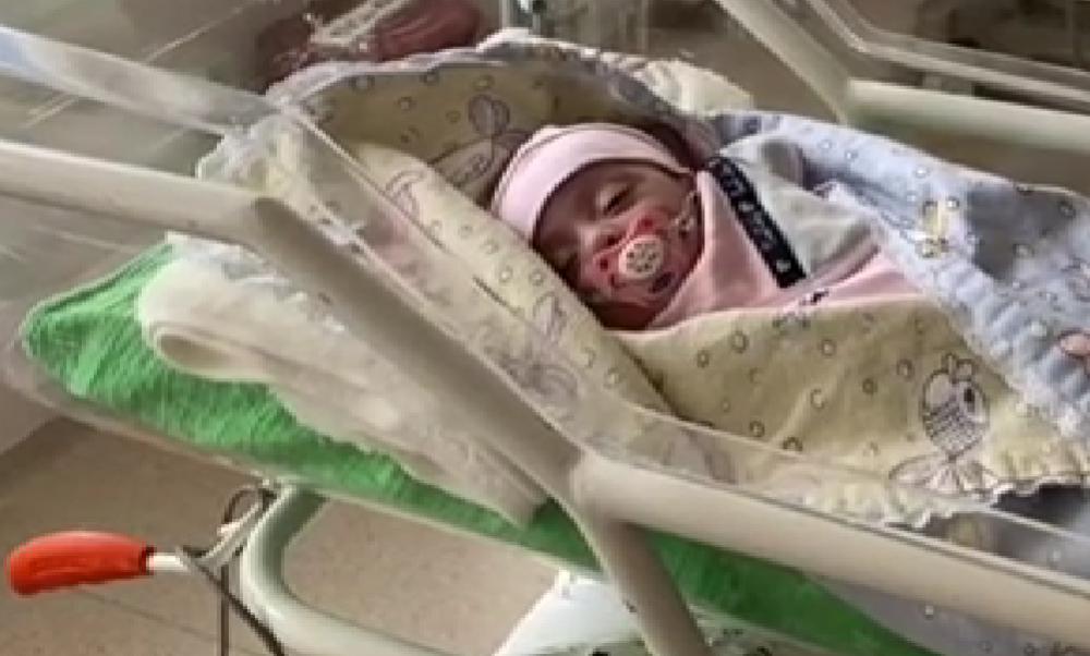 Masal bebek Konya’da bulundu