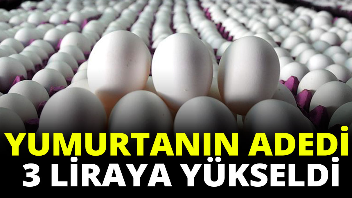 Yumurtanın adedi 3 liraya yükseldi