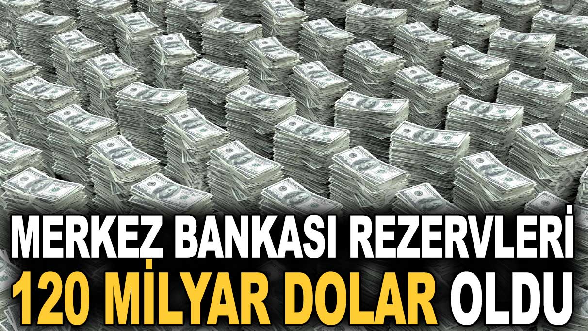 Merkez Bankası rezervleri 120 milyar dolar oldu