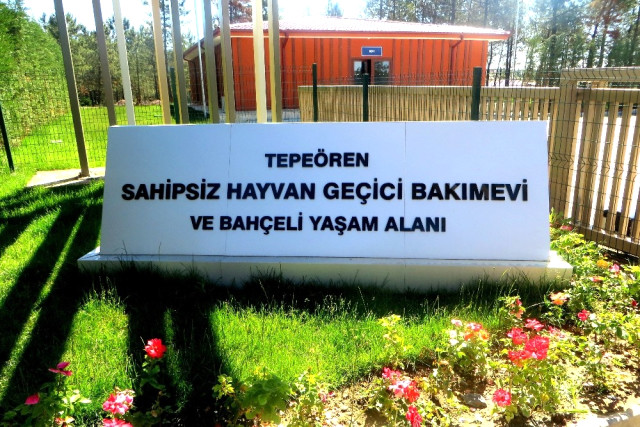 İstanbul’a yeni hayvan bakımevi ve gömü alanı