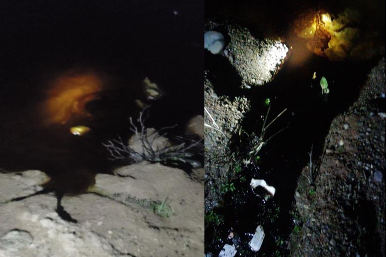 Boru hattından sızan ham petrol Dicle Nehri'ne aktı