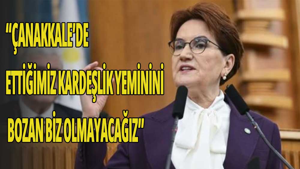 Meral Akşener: Çanakkale'de ettiğimiz kardeşlik yeminini bozan biz olmayacağız