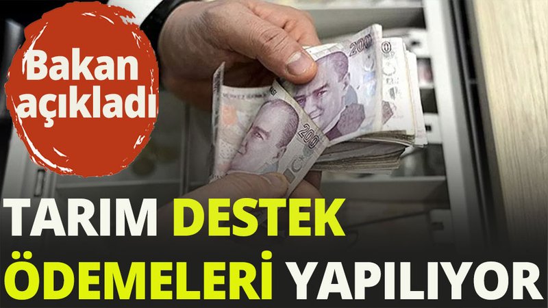 Tarım ve Orman Bakanı Vahit Kirişçi, çiftçilere ödeme açıklaması