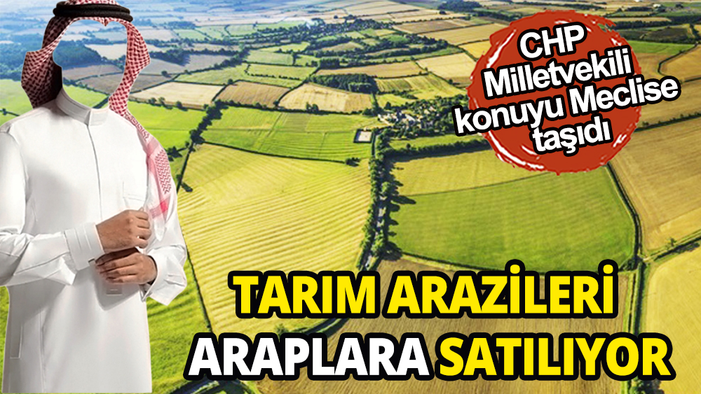 Araplar Türkiye'deki tarım arazilerini satın alıyor