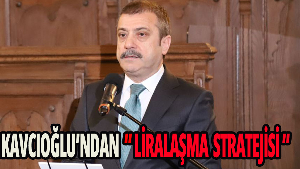 Kavcıoğlu'ndan liralaşma stratejisi