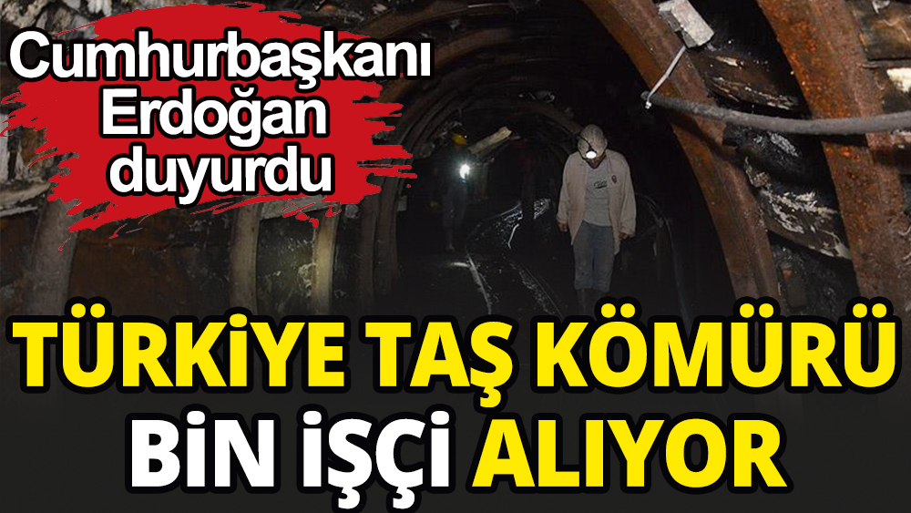Türkiye Taş Kömürü bin kamu işçisi alıyor
