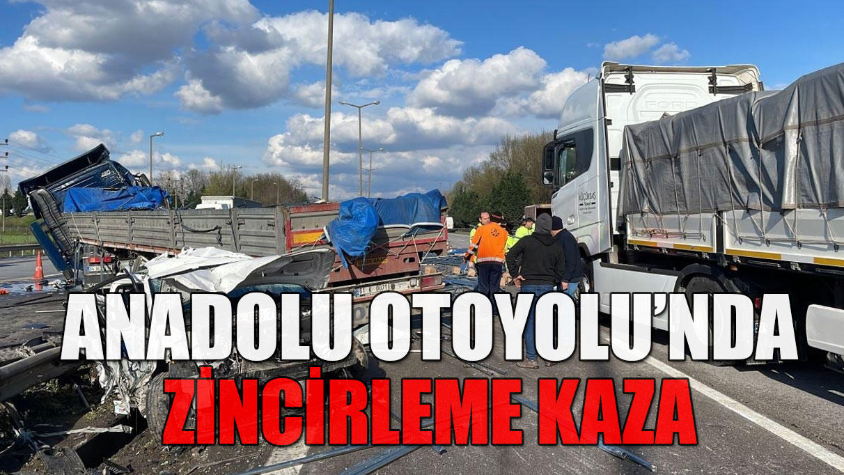 Anadolu Otoyolu'nda zincirleme kaza