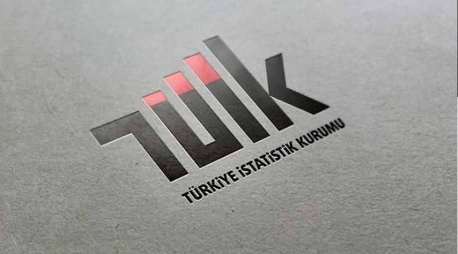 TÜİK'teki bazı daire başkanlıklarının isim ve görevlerinde değişiklik yapıldı