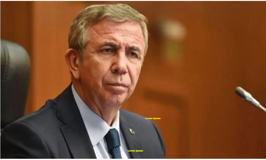 Yavaş: Memleketimizin huzuruna kastedildi