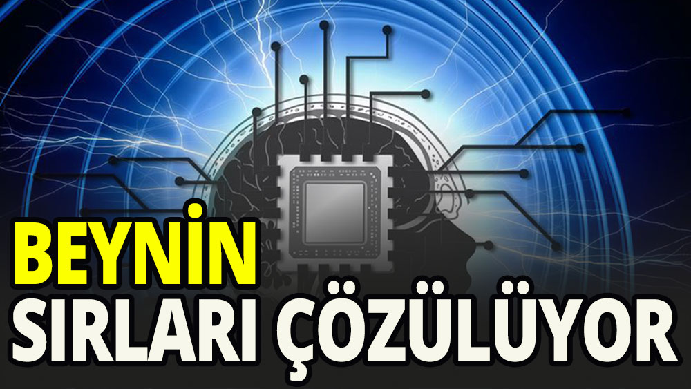 Beynin sırları çözülüyor