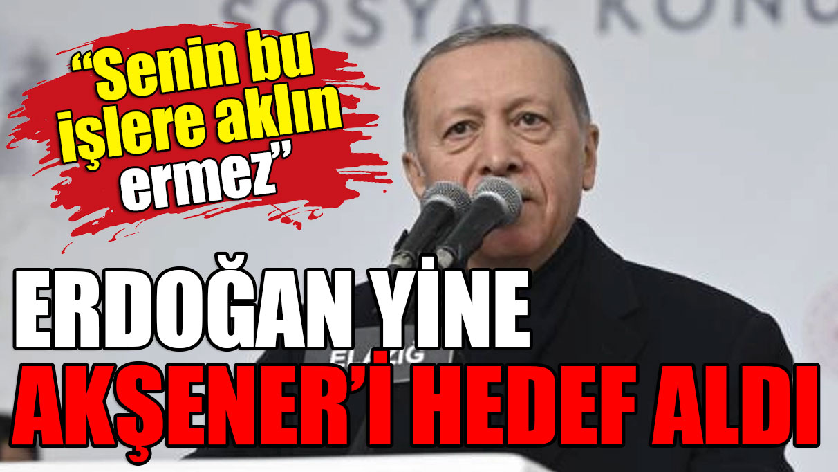 Erdoğan yine Akşener'i hedef aldı