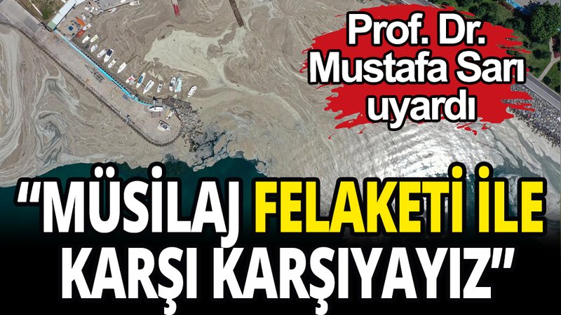 Marmara Denizinde tehlike çanları: ''Müsilaj felaketi ile karşı karşıyayız''