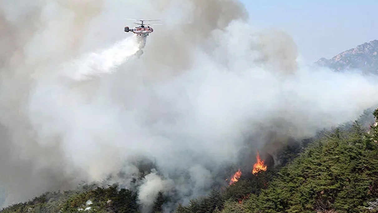 Güney Kore'nin başkenti Seul'de orman yangını: En az 120 ev boşaltıldı
