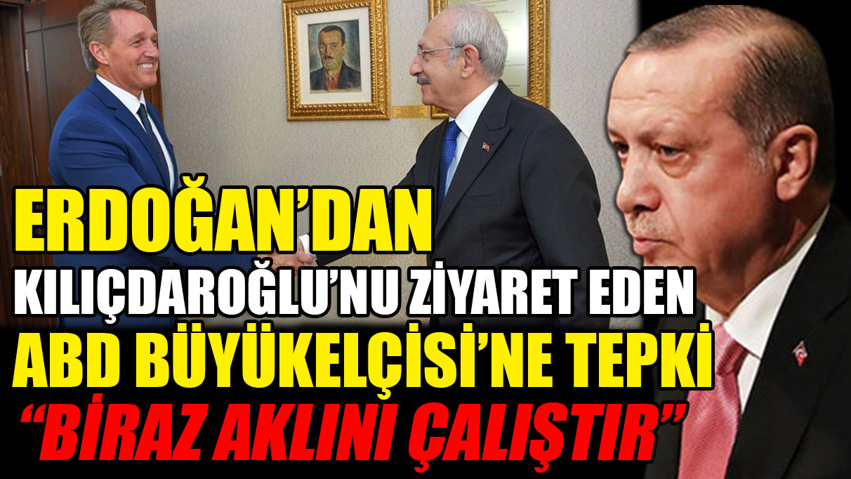 Erdoğan'dan, Kılıçdaroğlu'nu ziyaret eden ABD Büyükelçisi'ne tepki