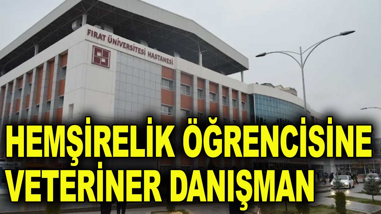 Hemşirelik öğrencisine veteriner danışman