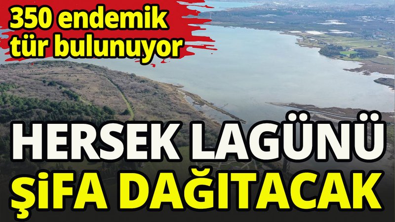 Hersek Lagünü şifa dağıtacak
