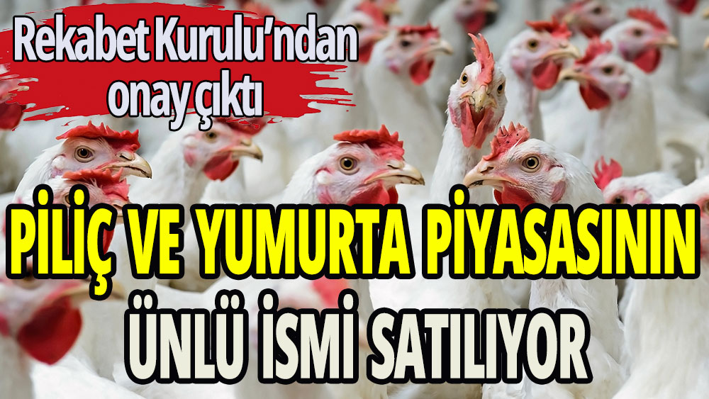 Tavuk ve yumurta piyasasında dev satış