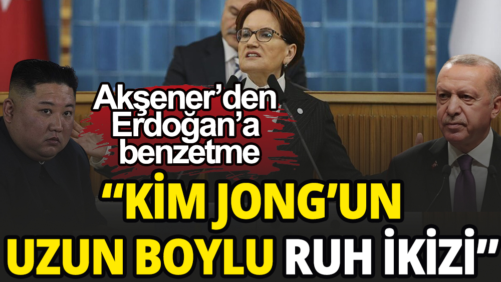 Akşener'den Erdoğan'a ''Kim Jong'' benzetmesi