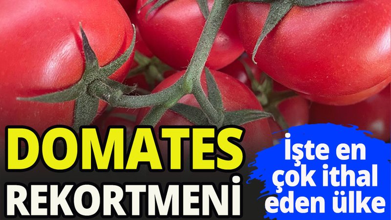 Domates'de  203 milyonluk gelir