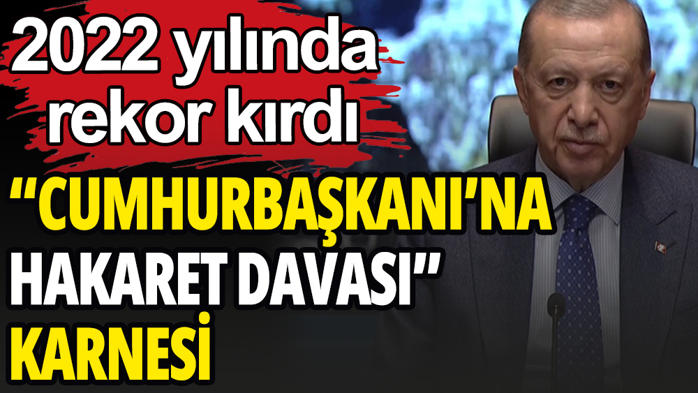 Türkiye'de Cumhurbaşkanı'na hakaret edenlere açılan dava sayısı 2022 yılında rekor kırdı