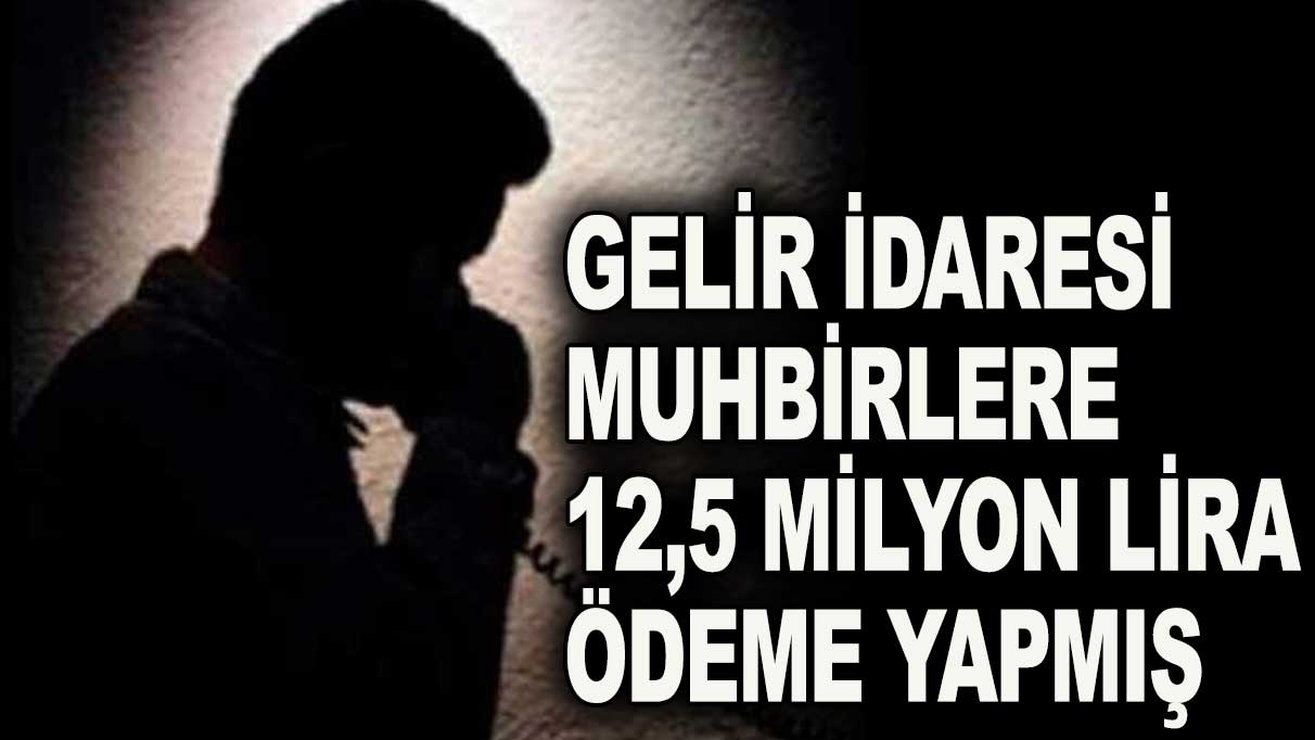GİB muhbirlere 12,4 milyon lira ödemiş