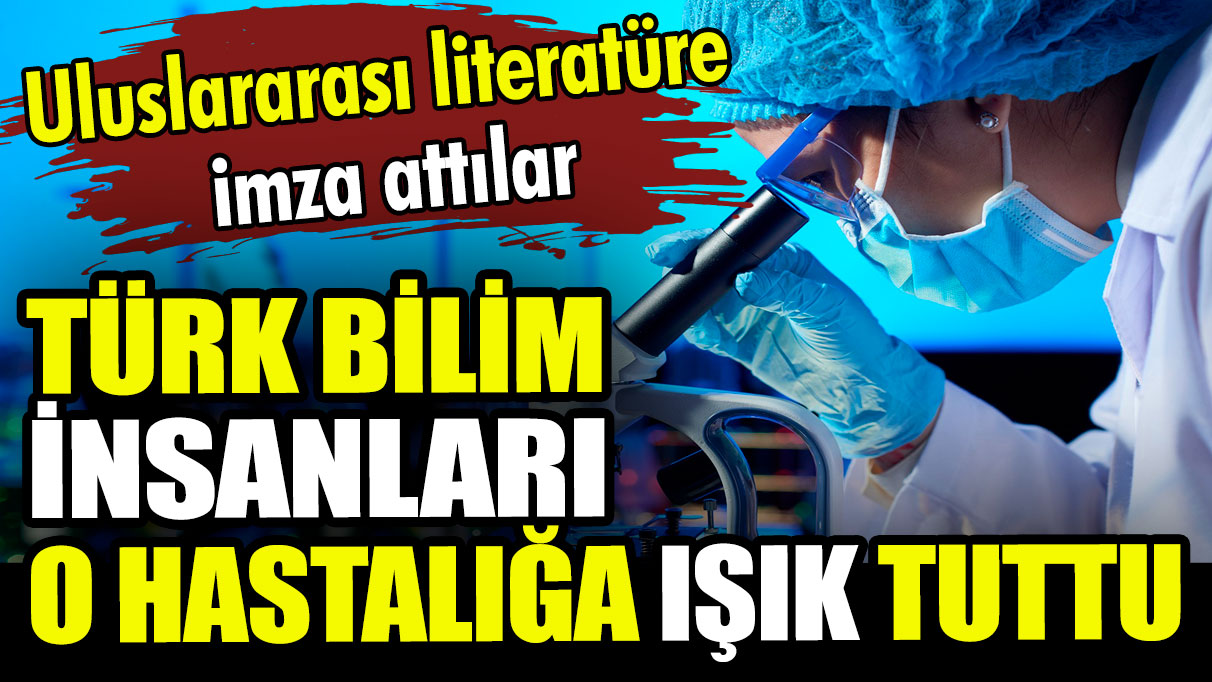 Türk bilim insanlarının yeni başarısı: literatüre girdi