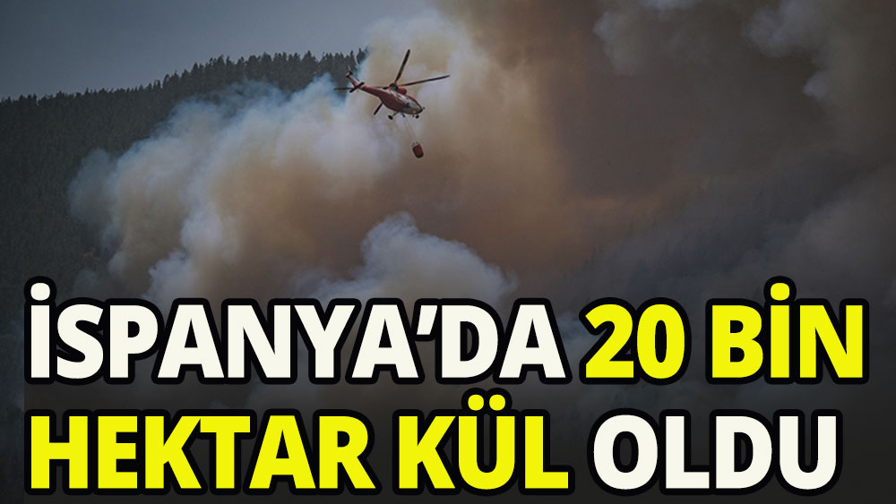 İspanya'da yangınlarda 20 bin hektar alan kül oldu