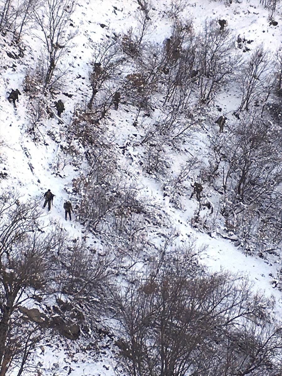 Bitlis'te terör operasyonu