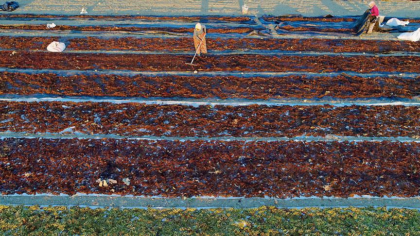 Kuru meyvede ihracat yöntemi geliri düşürüyor