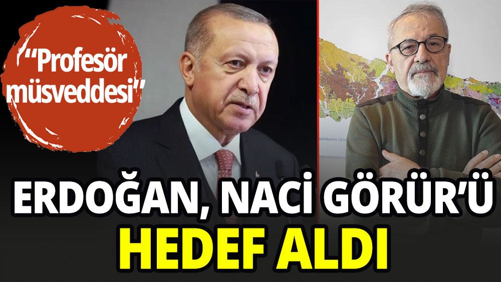 Erdoğan Naci Görür'ü hedef aldı: Profesör müsveddesi
