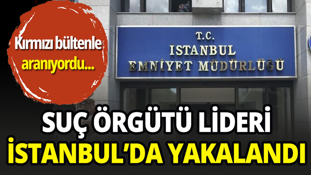 Kırmızı bültenle aranan suç örgütü lideri İstanbul'da yakalandı