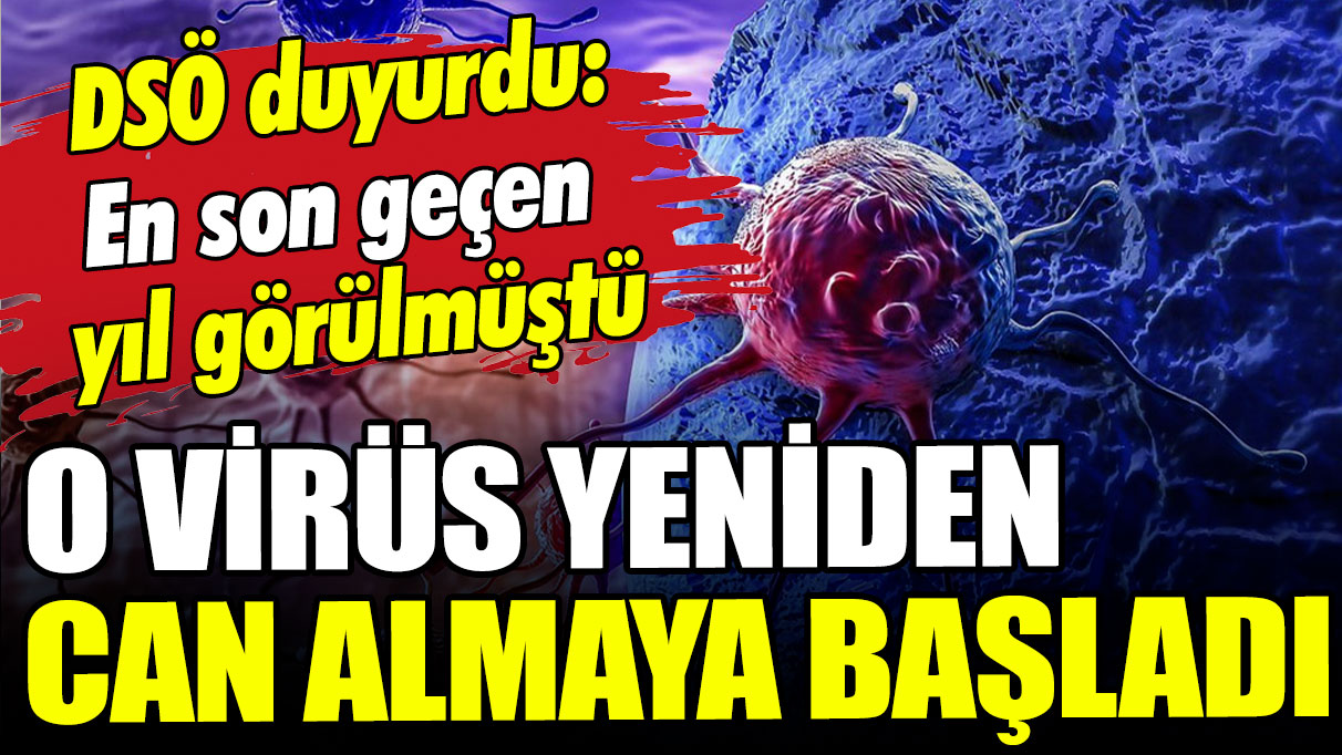 En son geçen yıl görülmüştü: O virüs yeniden can almaya başladı!