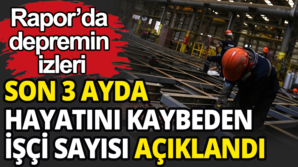 ''İş Cinayeti Raporu'' yayımlandı