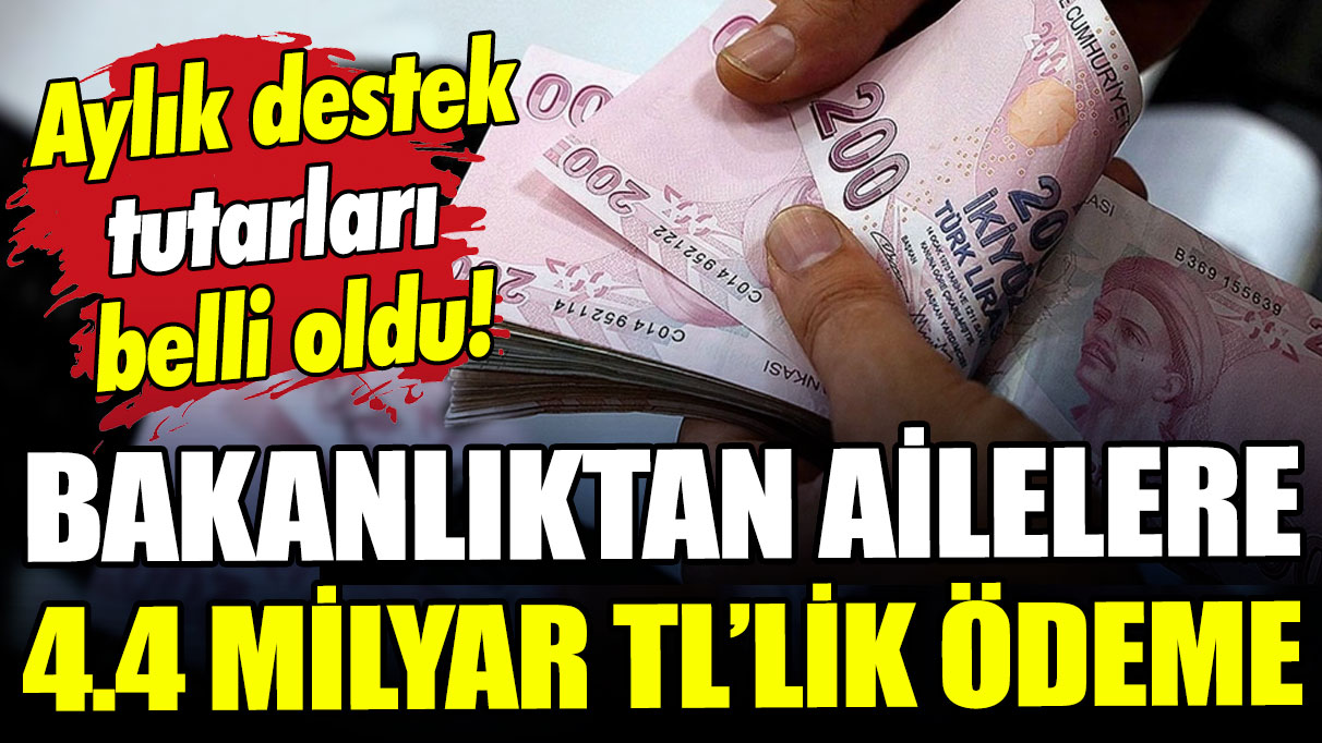 Bakanlık duyurdu: Ailelere 4.4 milyar TL ödeme desteği verilecek!