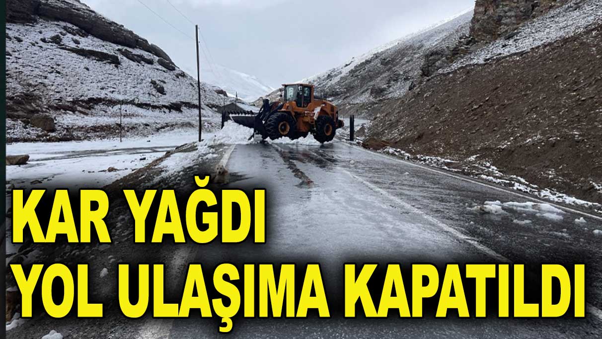 Van Bahçesaray yolu ulaşıma kapatıldı