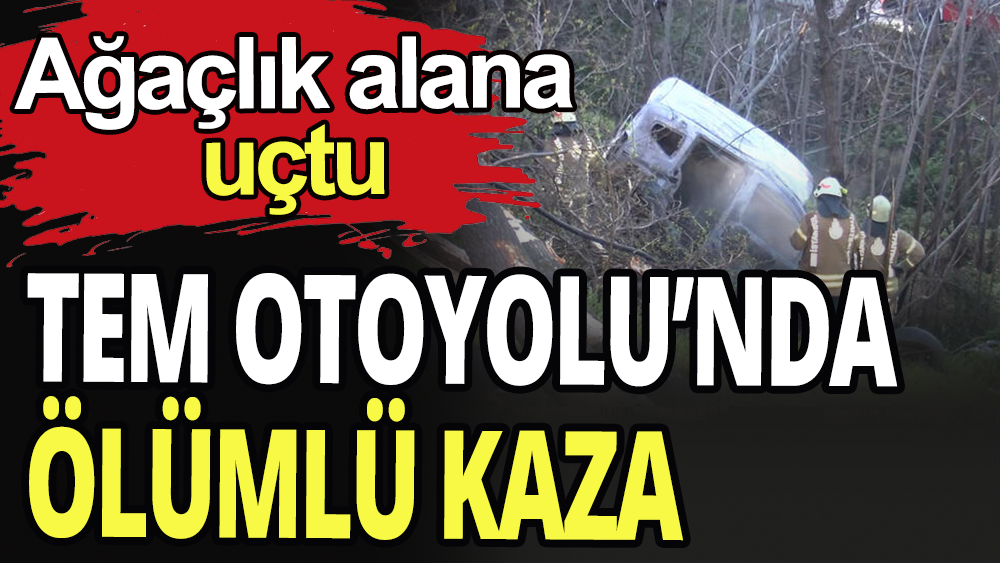 Avcılar'da araç ağaçlık alana uçtu: 1 ölü