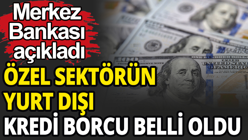 Özel sektörün yurt dışı kredi borcu belli oldu