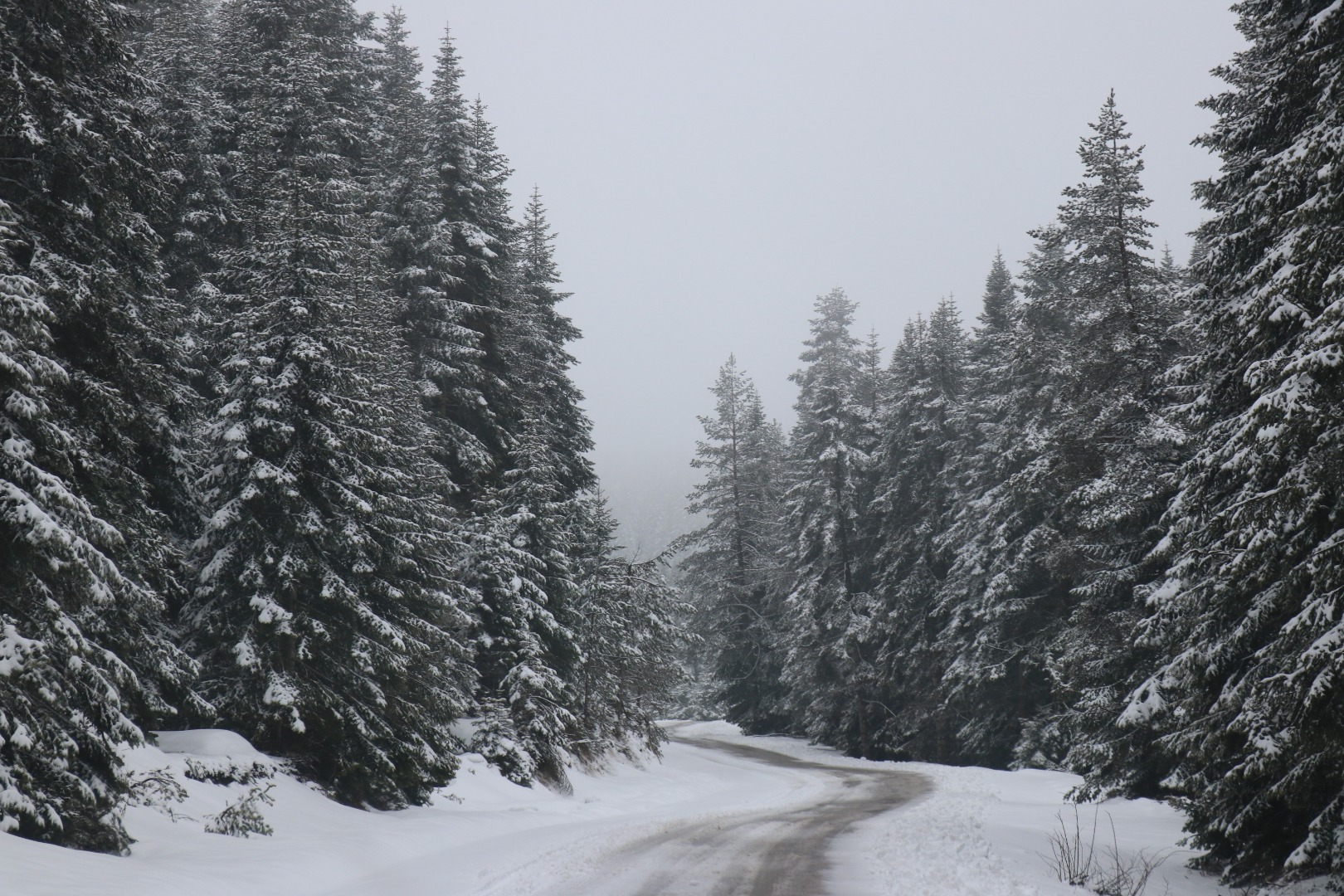 Bolu'da kar sürprizi  