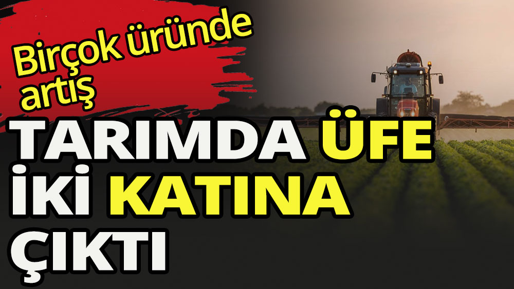 Tarımda ÜFE iki katına çıktı